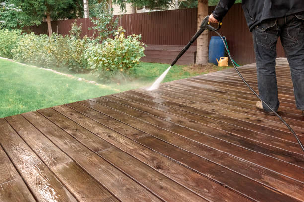 Best Roof Cleaning and Mildew Removal in Fort Lee, VA